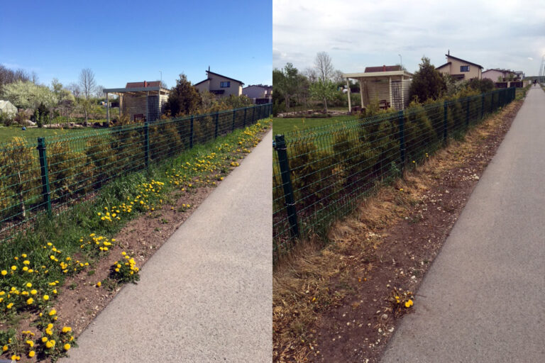 Ökoloogiline keemiavaba umbrohutõrje ECO WEED KILLER PRO-10 - Image 16