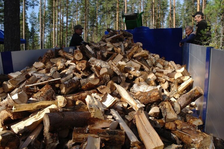 Halumasin BILKE S3 TR - Image 2