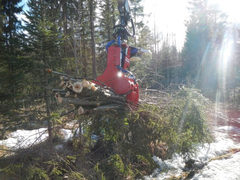 Võsagiljotiin Lõikepea FARMIKKO 200TCE (kogujaga) - Image 5
