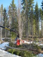 Võsagiljotiin Lõikepea FARMIKKO 201 TCE (kogujaga) - Image 8