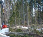 Võsagiljotiin Lõikepea FARMIKKO 201 TCE (kogujaga) - Image 7