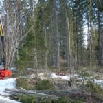 Võsagiljotiin Lõikepea FARMIKKO 200TCE (kogujaga) - Image 7