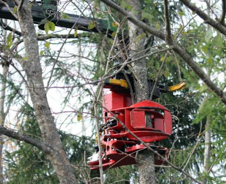 Võsagiljotiin Lõikepea FARMIKKO 221TCE (kogujaga) - Image 5
