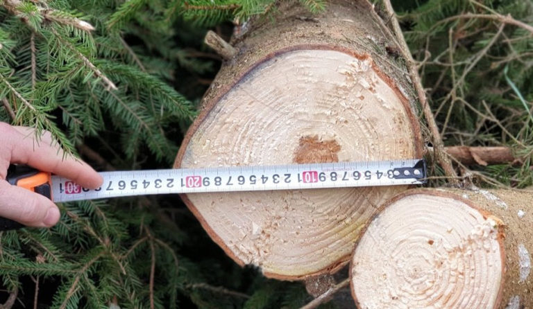 Võsagiljotiin Lõikepea FARMIKKO 221TCE (kogujaga) - Image 4