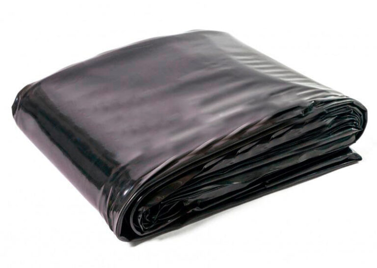 tiigikile basseinikile