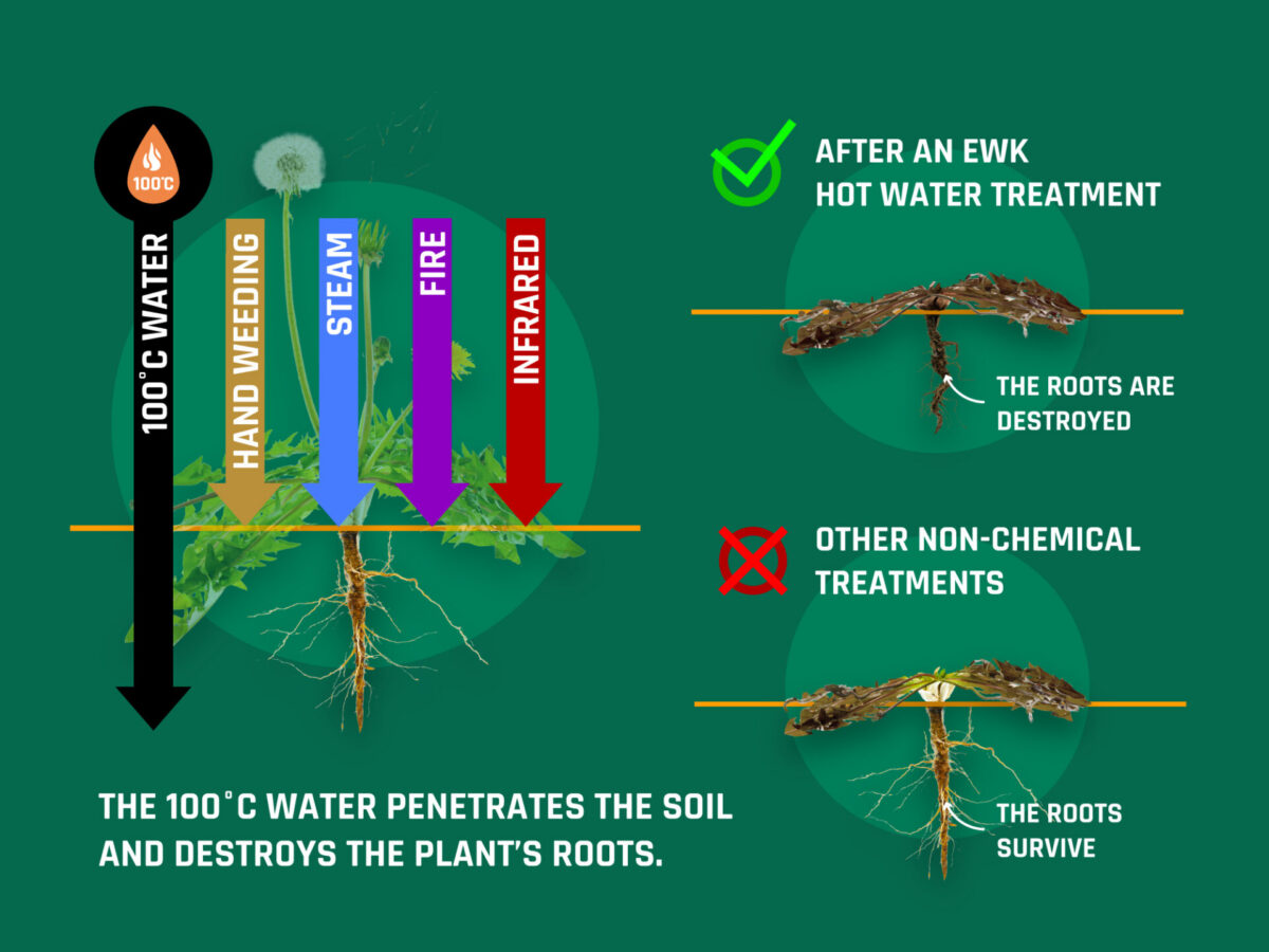 Öko umbrohutõrjevahend Pro SP mini - Image 3